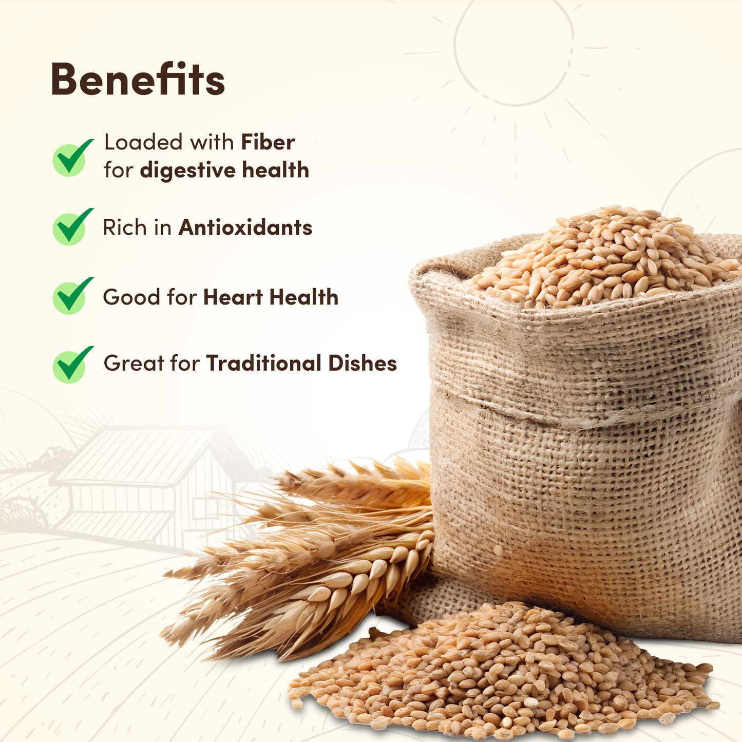 Bhaliya Wheat
