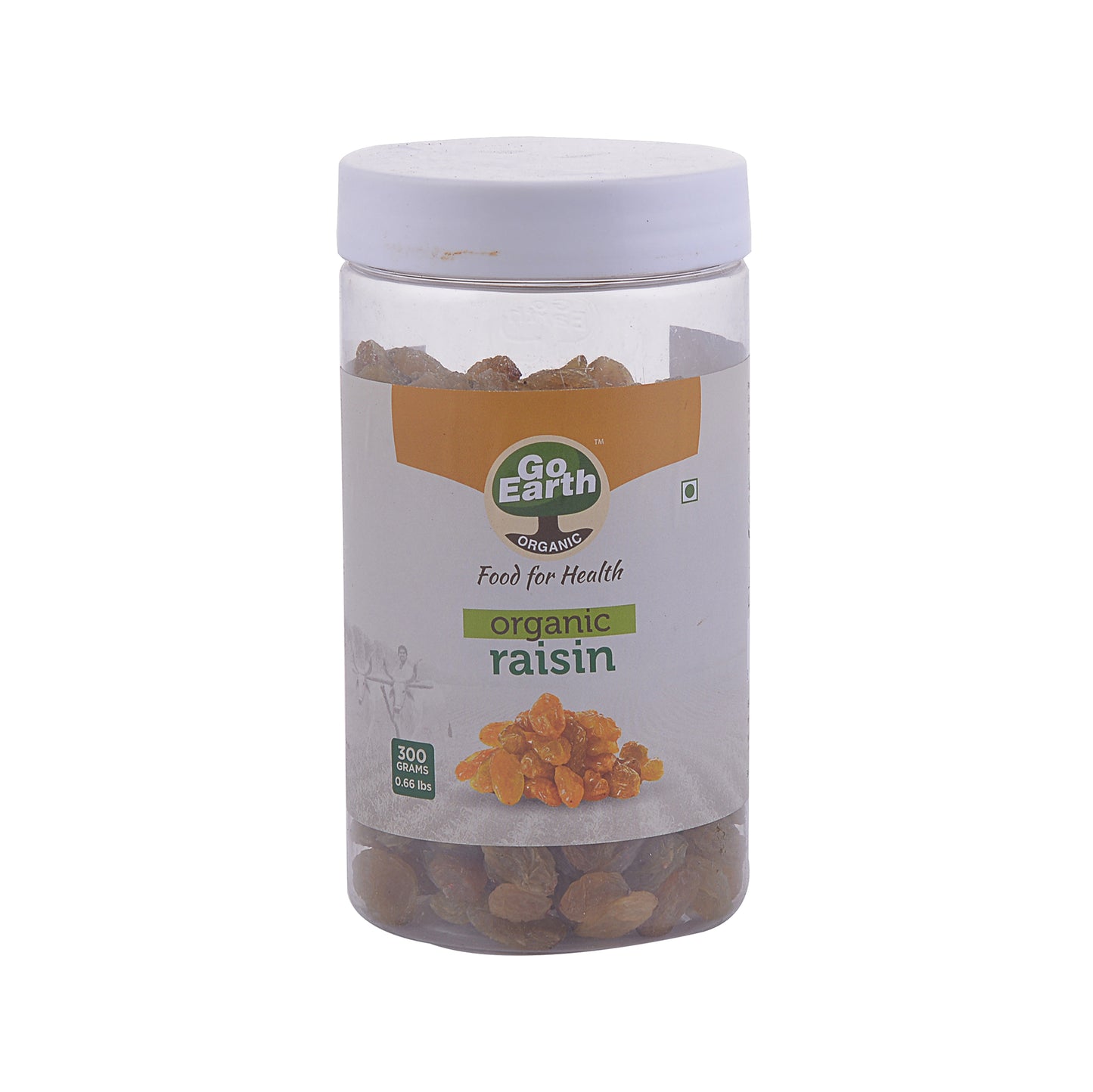 Kismis/Raisin