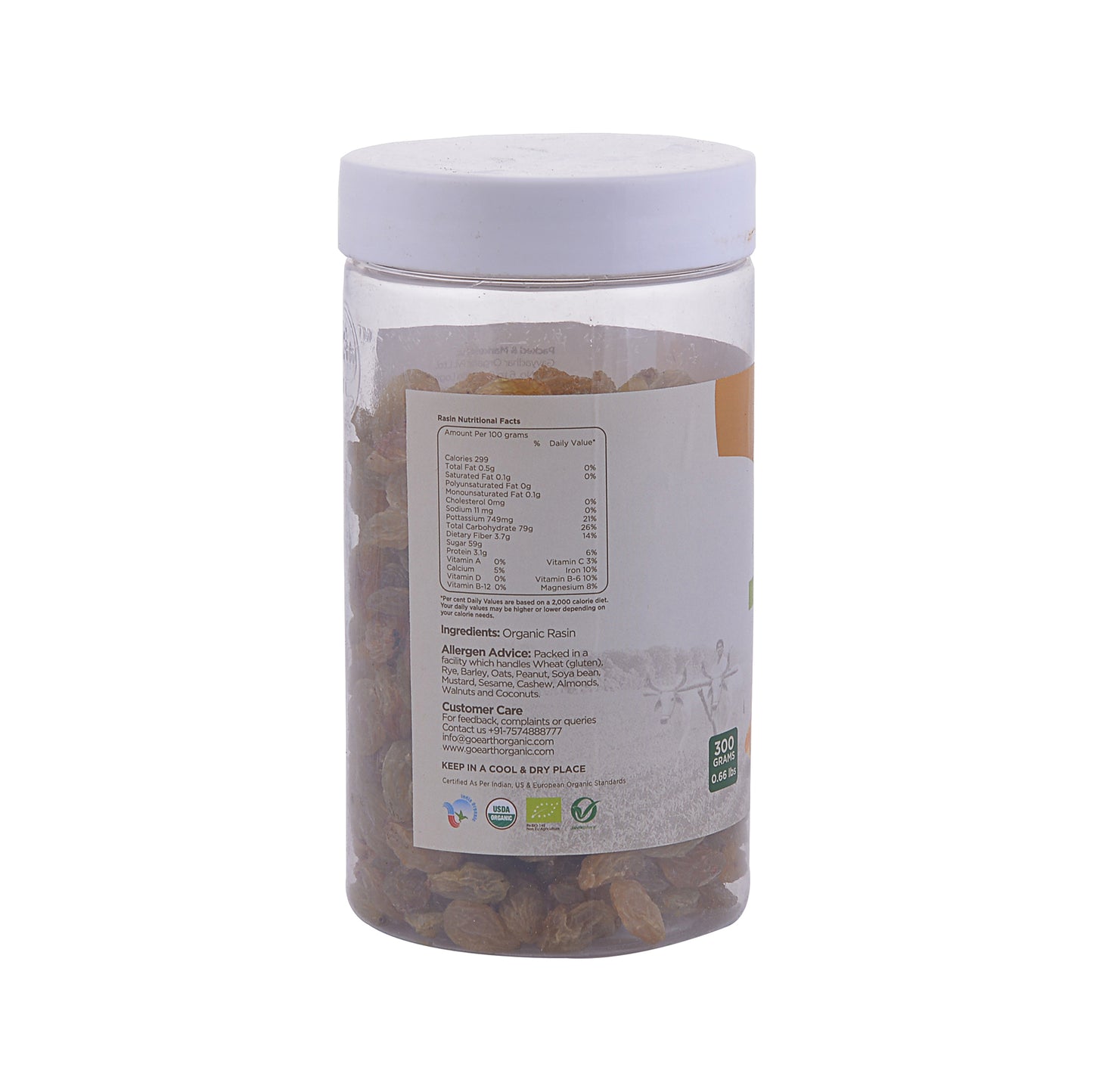 Kismis/Raisin