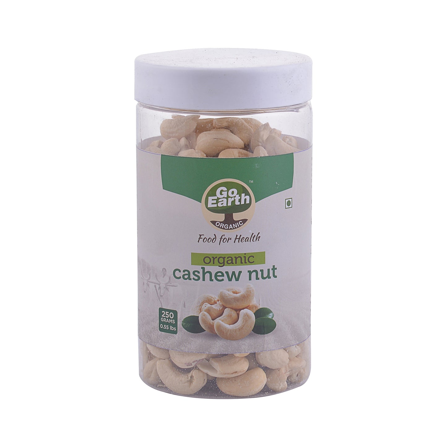 Cashew Nut