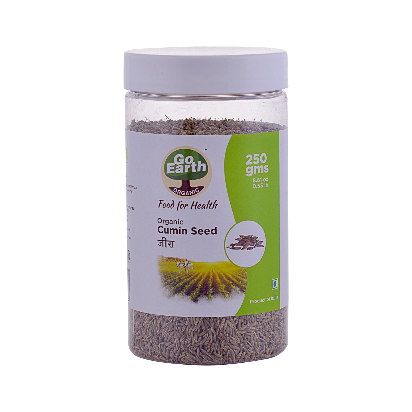 Cumin Seeds Whole Jeera