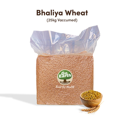 Bhaliya Wheat