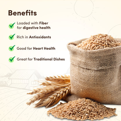 Bhaliya Wheat